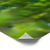 クリスマスグリーティングマイハニーヤギ ポスター (角)