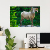 クリスマスグリーティングマイハニーヤギ ポスター (ホームオフィス)