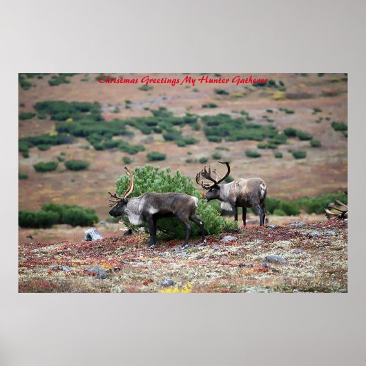 クリスマスグリーティングマイハンターギャザー ポスター (正面)