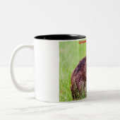 クリスマスグリーティングマイリトルビーバー ツートーンマグカップ (左)