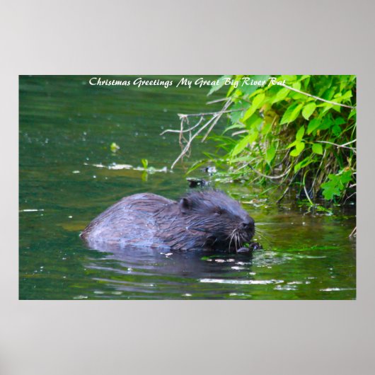 クリスマスグリーティングマイリバーラット ポスター (正面)