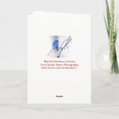 クリスマスグリーティング – 白黒のブルーバード シーズンカード (裏面)