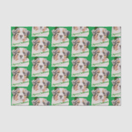 クリスマスグリーン現実的なオーストラリアの羊飼い 薄葉紙