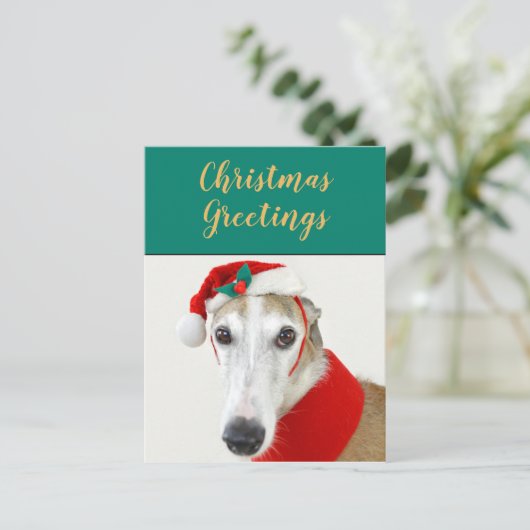 クリスマスグレイハウンドかわいい犬の休日のはがき シーズンポストカード (スタンド正面)