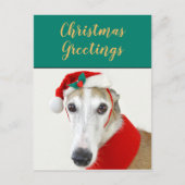 クリスマスグレイハウンドかわいい犬の休日のはがき シーズンポストカード (正面)