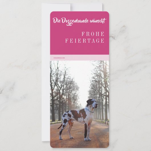 クリスマスグレートデーンカード シーズンカード (正面)