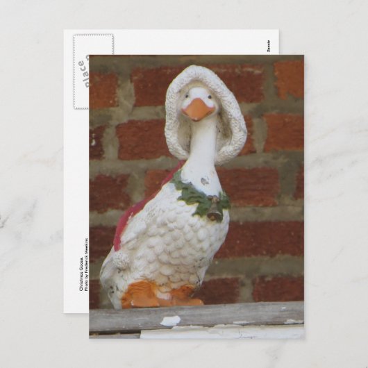 クリスマスグース シーズンポストカード (正面/裏面)