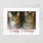 クリスマスケットのキュートなペット 赤いスクリプトタイポグラフィー シーズンポストカード (正面)