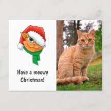 クリスマスケットの写真