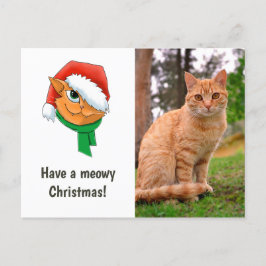 クリスマスケットの写真 シーズンポストカード
