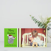 クリスマスコアラス写真 (スタンド正面)