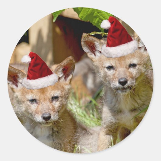 クリスマスコヨーテのパップ ラウンドシール (正面)