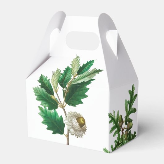 クリスマスコーンリース家族の写真 フェイバーボックス (裏面サイド)