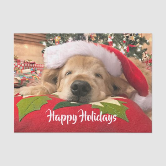 クリスマスゴールデンリトリーバー犬，木の下で眠る 薄葉紙 (正面)
