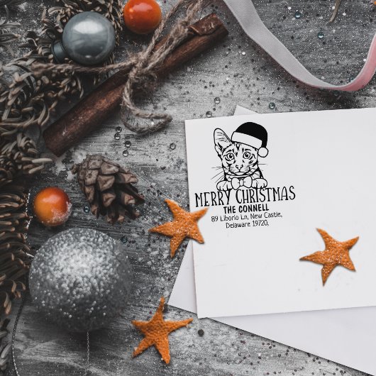 クリスマスサバンナキャット差出人住所 ラバースタンプ