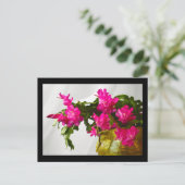 クリスマスサボテンがクローズアップ シーズンポストカード (スタンド正面)