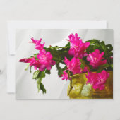 クリスマスサボテンのクローズアップの写真の招待状 招待状 (正面)