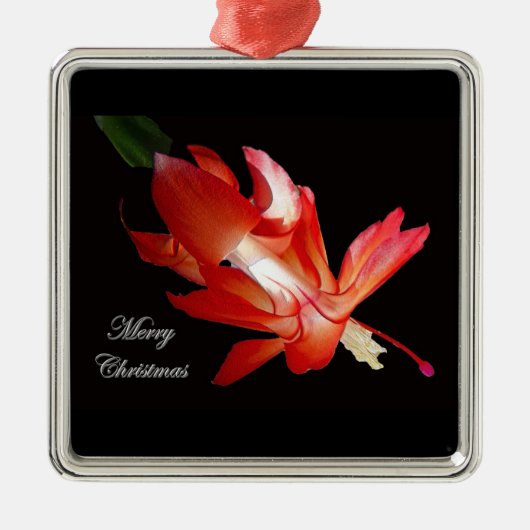 クリスマスサボテンのメリークリスマスのオーナメント メタルオーナメント (正面)