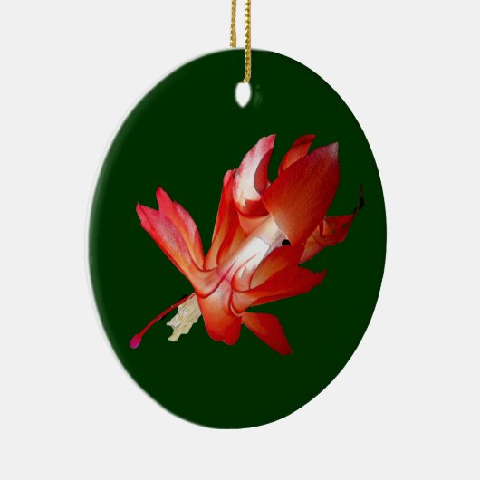 クリスマスサボテンのEpiphyteのオーナメント セラミックオーナメント (右)