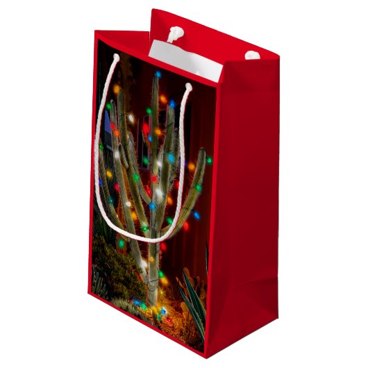 クリスマスサボテン白熱［赤熱］光を放つライトレッド抱き枕 スモールペーパーバッグ (裏面アングル)