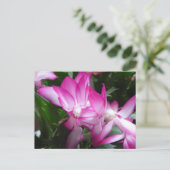 クリスマスサボテン花はがき シーズンポストカード (スタンド正面)