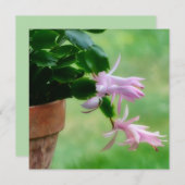 クリスマスサボテン蘭フラワーアートノートカード サンキューカード (正面/裏面)