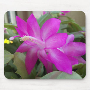 クリスマスサボテン開花 マウスパッド