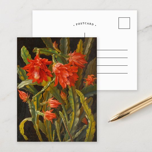 クリスマスサボテン | クリスチャンメルバック ポストカード