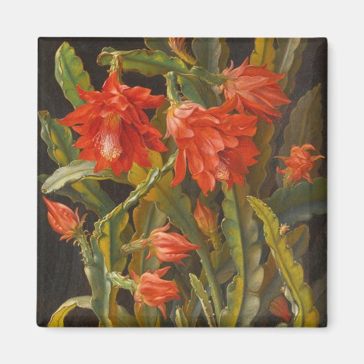 クリスマスサボテン | クリスチャンメルバック マグネット (正面)