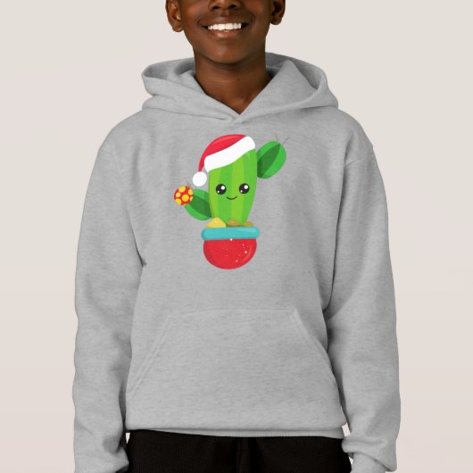 クリスマスサボテン、サンタハット、クリスマスオーナメント (正面)