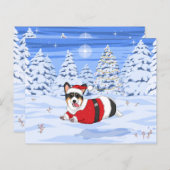 クリスマスサンタの衣装を着た可愛い黒いコルギ (正面/裏面)