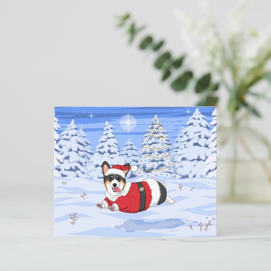 クリスマスサンタの衣装を着た可愛い黒いコルギ (スタンド正面)