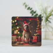 クリスマスサンタカンガルー (スタンド正面)