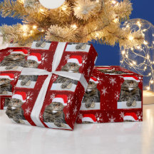 クリスマスサンタキャットハバグ写真レッドスノーフレーク