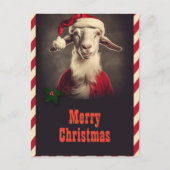 クリスマスサンタクロース山羊 ポストカード (正面)