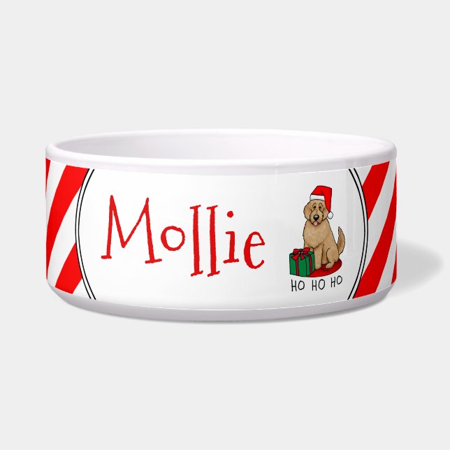 クリスマスサンタゴルデンドール（ゴールデンレッド）犬かわいい ボウル (正面)