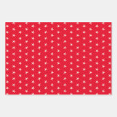 クリスマスサンタサーフィンドッグタンギフトラップセット3 ラッピングペーパーシート (正面2)