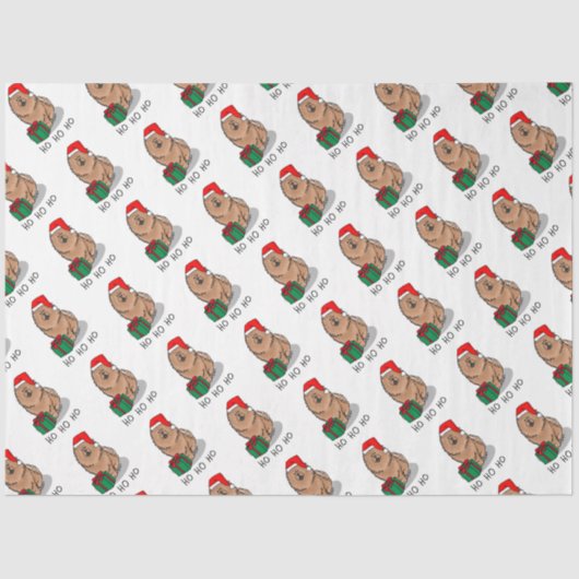 クリスマスサンタチョウ(シナモン)かわいい 薄葉紙 (正面)