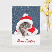 クリスマスサンタハットとスノーフレーク・カードの子猫 カード (黄色い花)