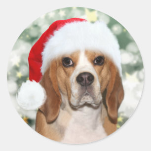 クリスマスサンタハットにビーグル ラウンドシール