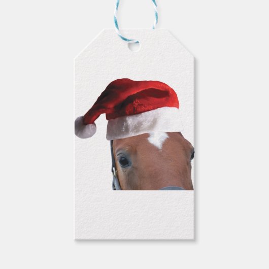 クリスマスサンタハットホース ギフトタグ (正面)