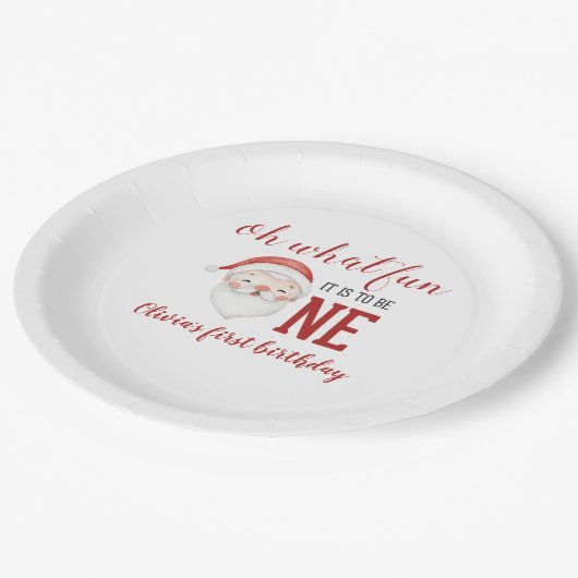 クリスマスサンタファースト誕生日 ペーパープレート (アングル)