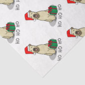 クリスマスサンタホイアテンテリア（ホイアテン1b2）かわいい 薄葉紙 (詳細)