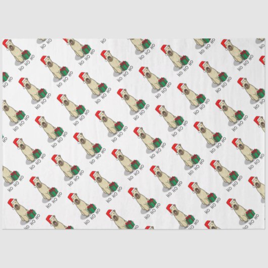 クリスマスサンタホイアテンテリア（ホイアテン1b2）かわいい 薄葉紙 (正面)