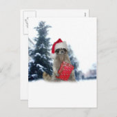 クリスマスサンタラクーン盗賊 シーズンポストカード (正面/裏面)