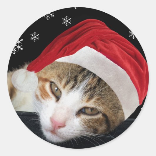 クリスマスサンタ猫シール ラウンドシール (正面)