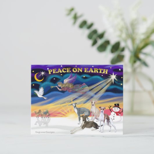 クリスマスサンライズフォーグレイイタリアンハウンズ シーズンポストカード (スタンド正面)