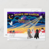 クリスマスサンライズ – 3つの標準プードル シーズンポストカード (正面/裏面)