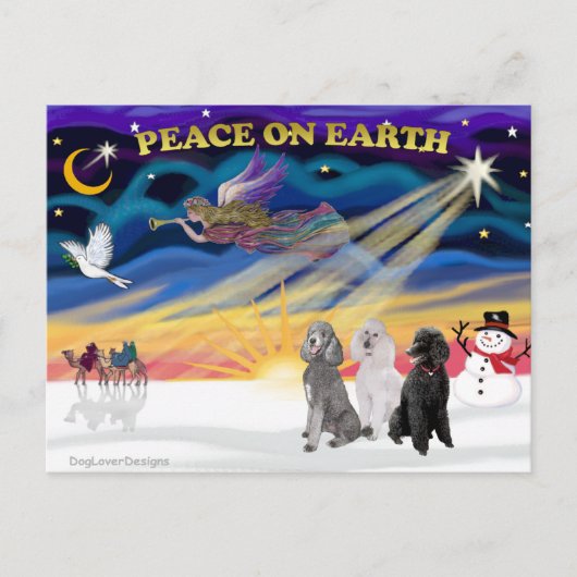 クリスマスサンライズ – 3つの標準プードル シーズンポストカード (正面)