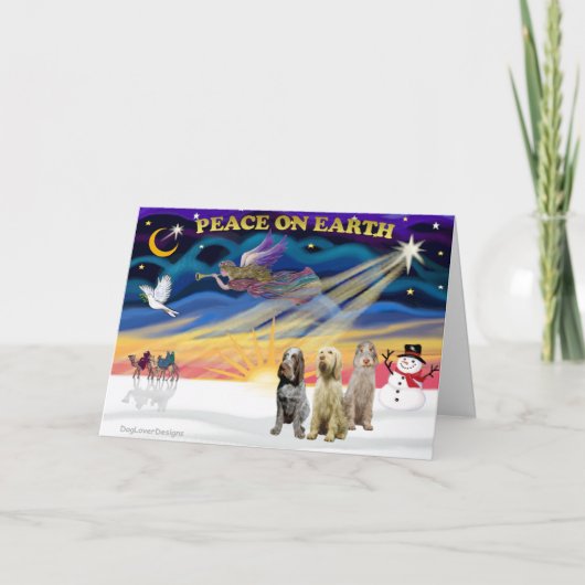 クリスマスサンライズ – 3スピノイタリアンネス シーズンカード (正面)